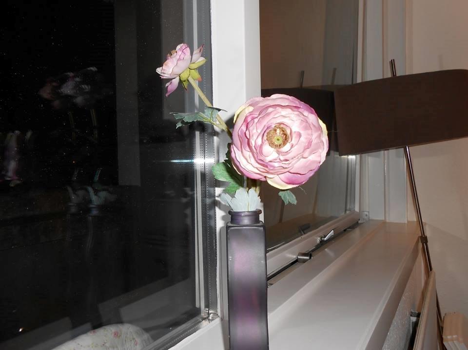 Blanding af racer Chili - Før Maine Coon... 13 uger billede 26