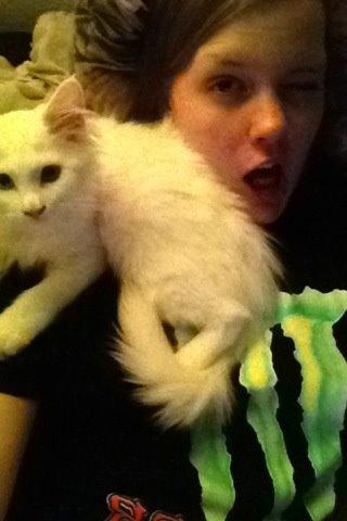 Maine Coon Galadriel - Den lille dame lagde sig på mig den ene aften, og var nødt til at tage et billede af det. billede 20