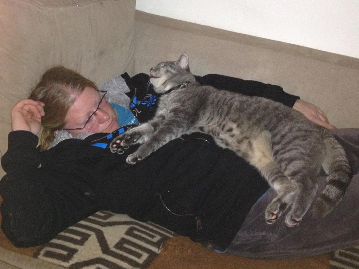 Huskat Sebastian *RIP* billede 5