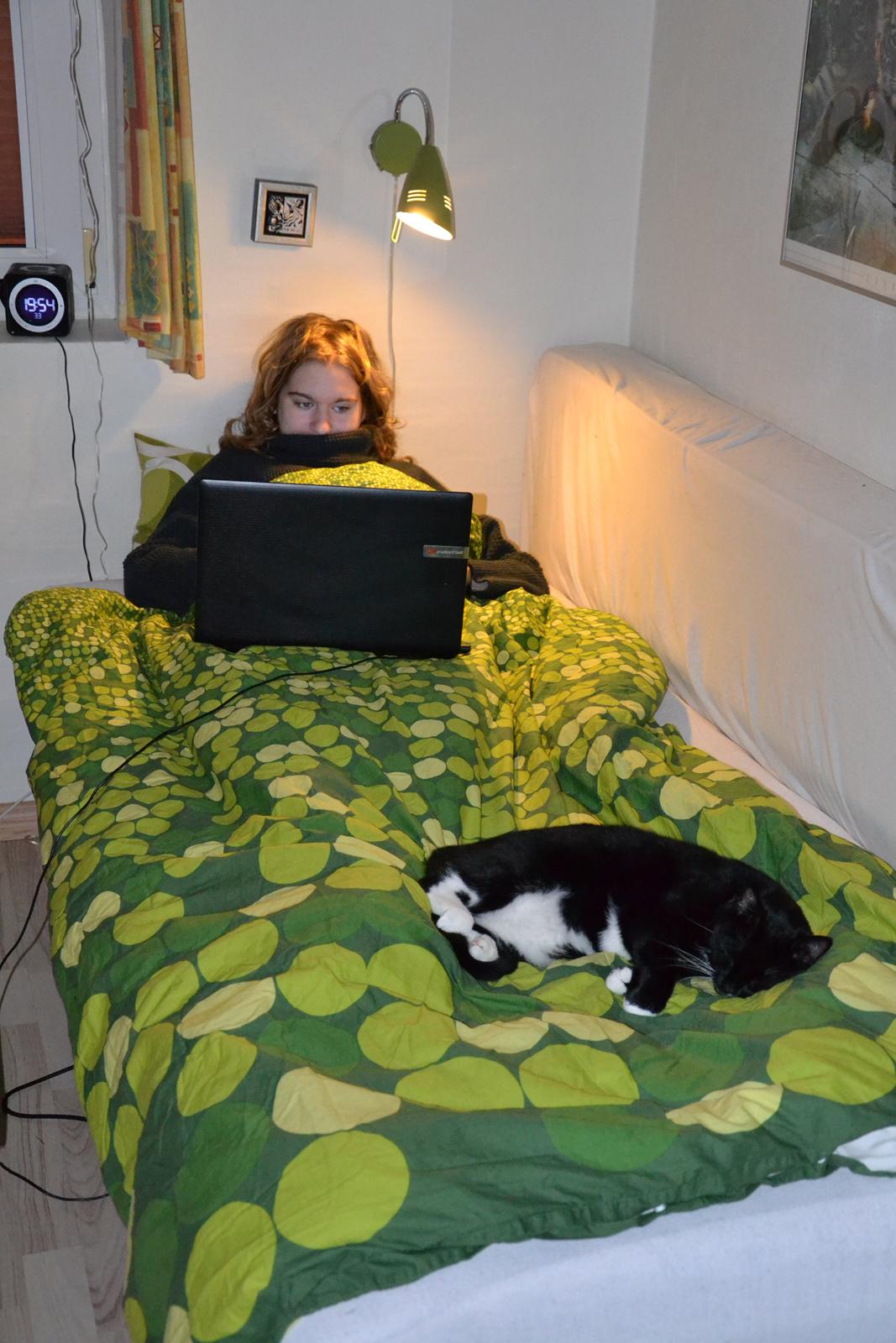 Huskat Katie - Det beskriver hverdagen ret godt :)
- Min mis! :D billede 11