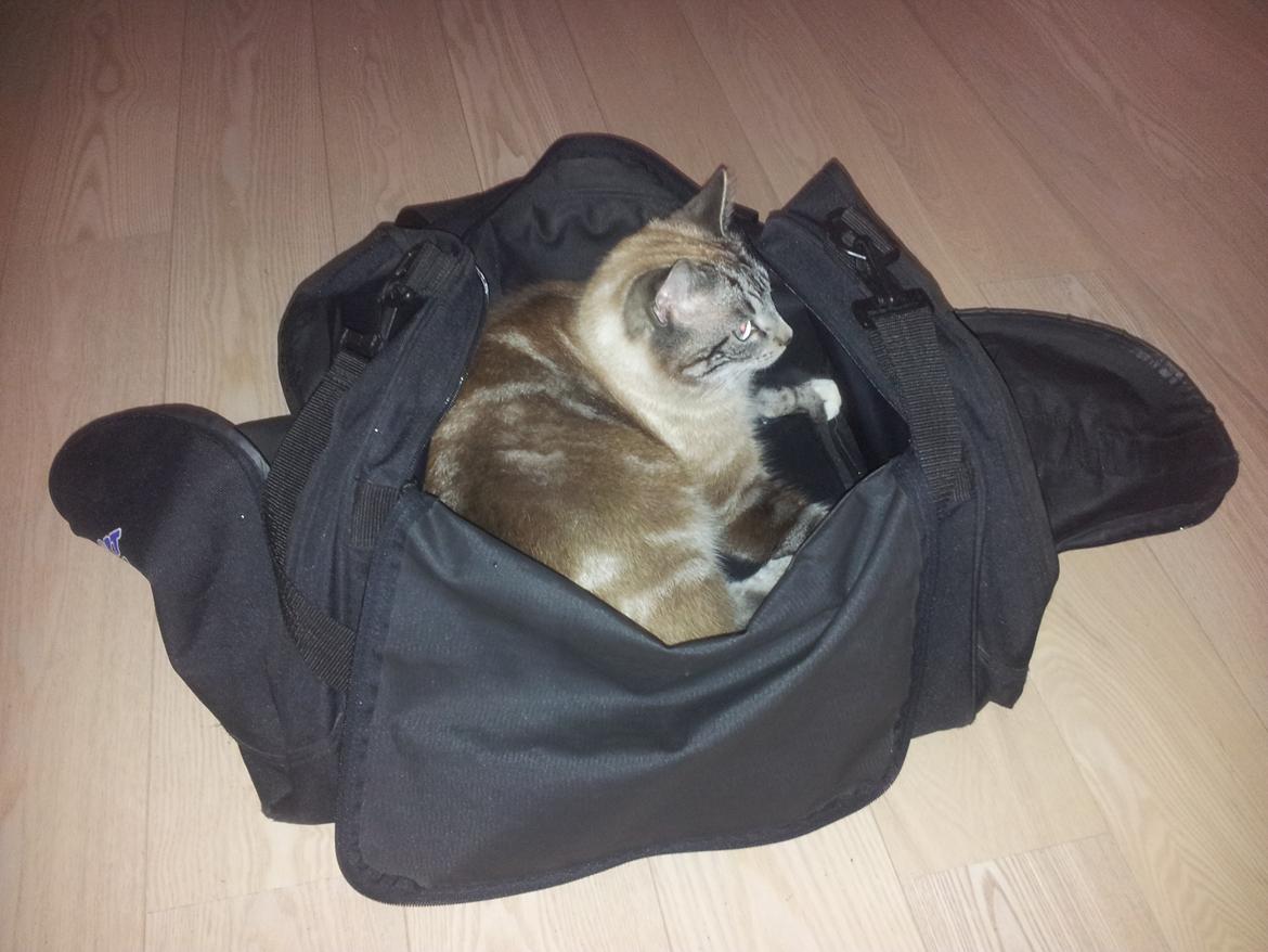 Blanding af racer Tromle billede 7