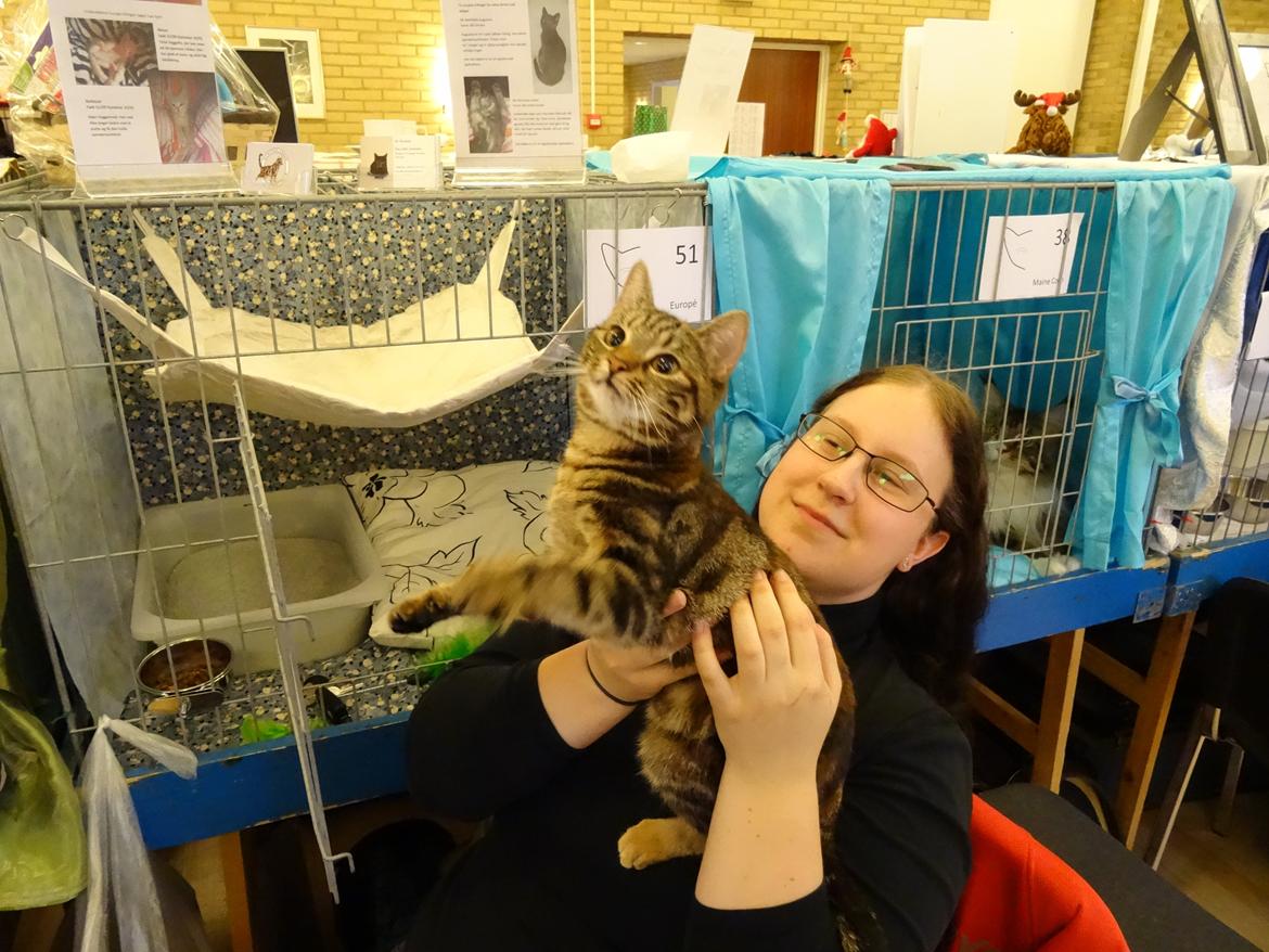 Europé DK Rothes Nellie billede 19