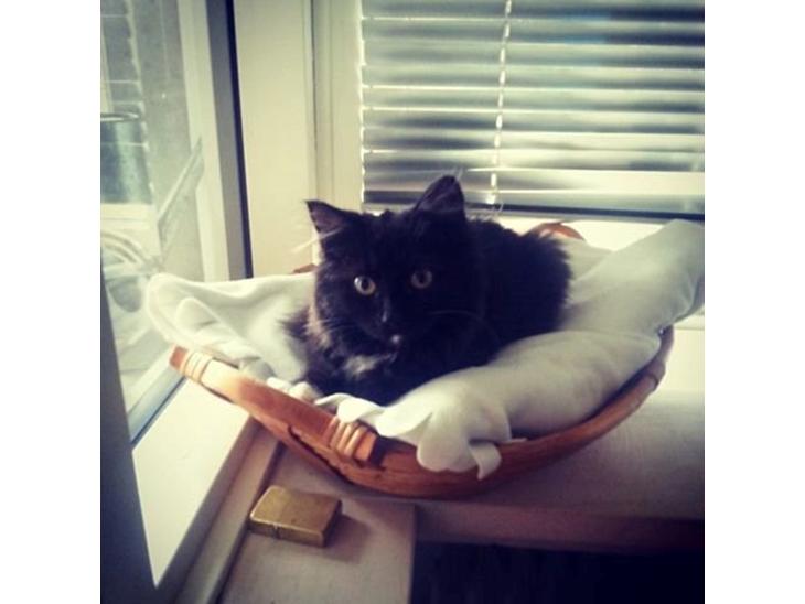 {{currentPhoto.altText}} billede {{currentPhoto.number}}