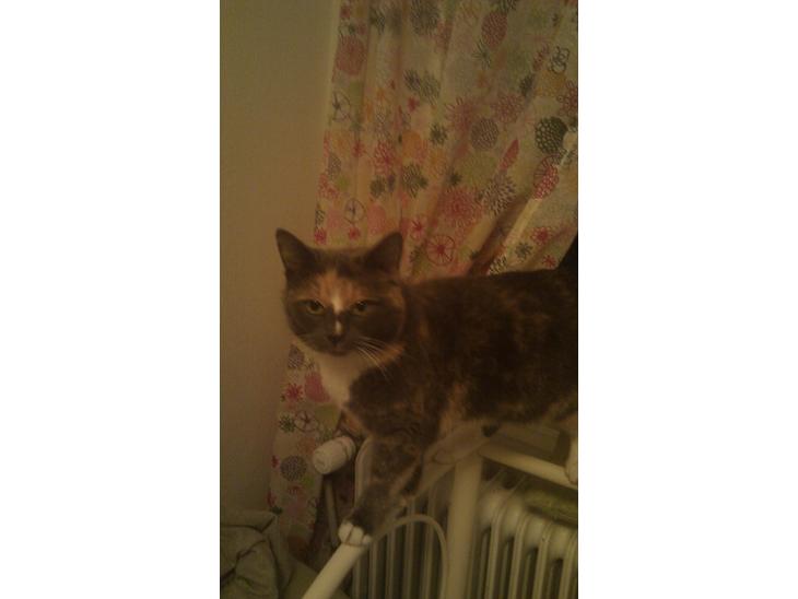 {{currentPhoto.altText}} billede {{currentPhoto.number}}