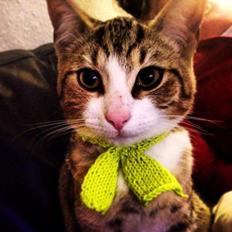 Blanding af racer Charlie