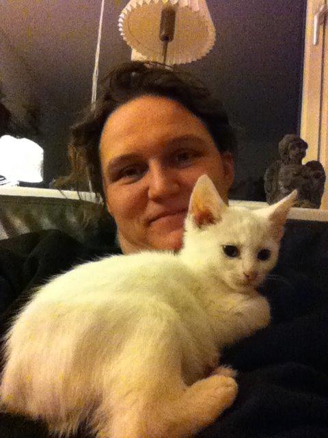 Blanding af racer Max billede 5