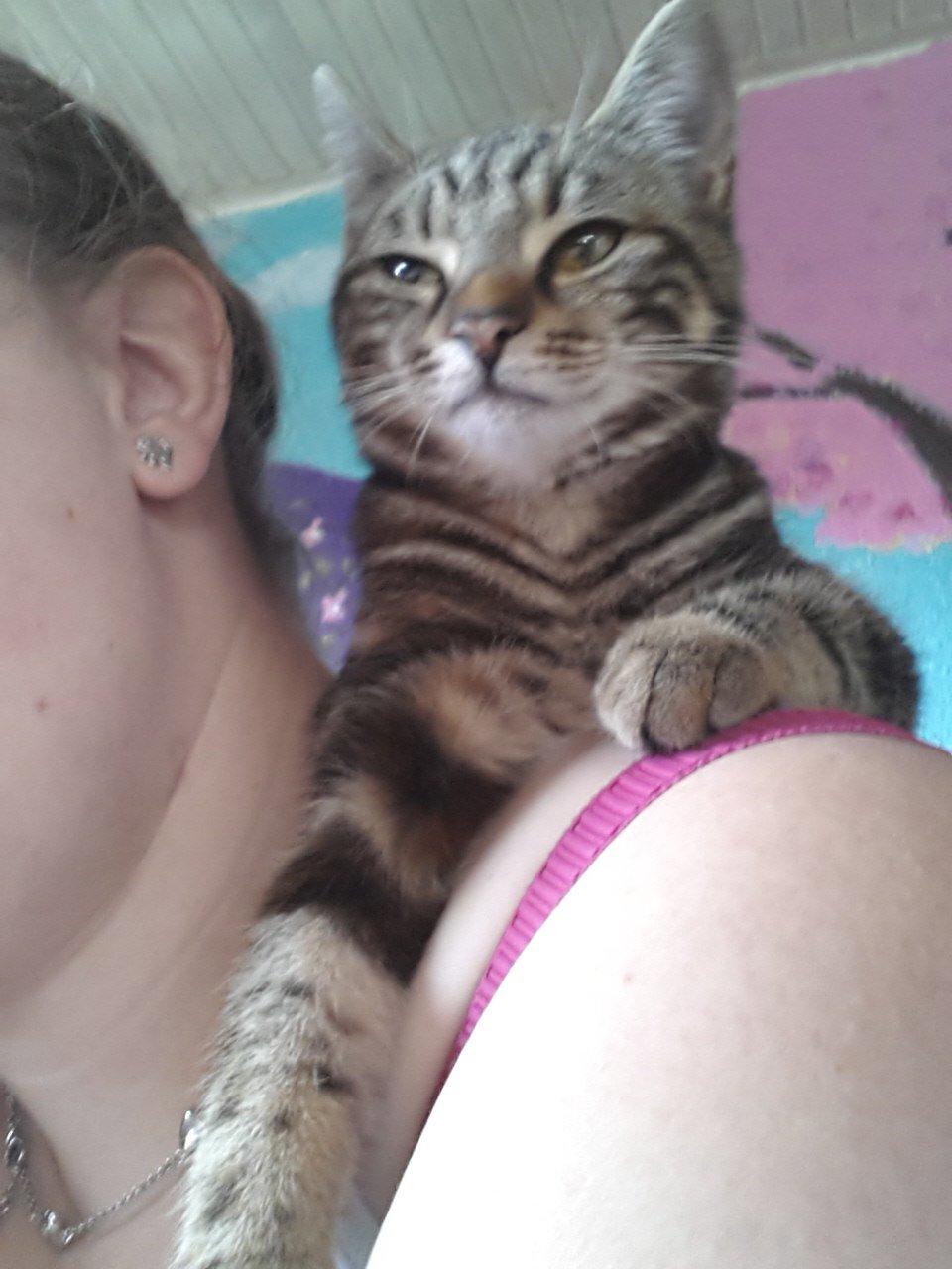 Europé DK Rothes Nellie billede 33