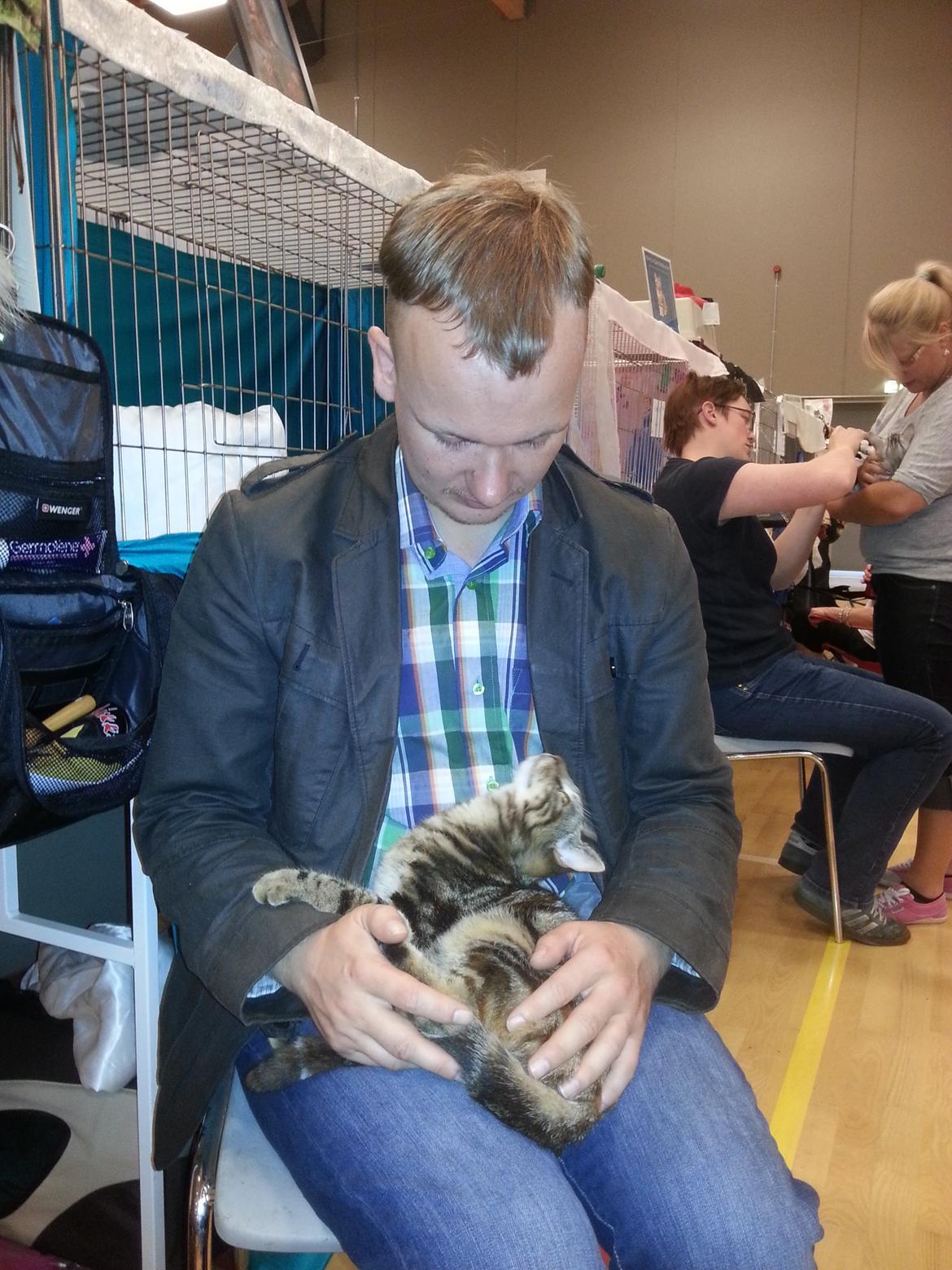 Europé DK Rothes Nellie billede 39