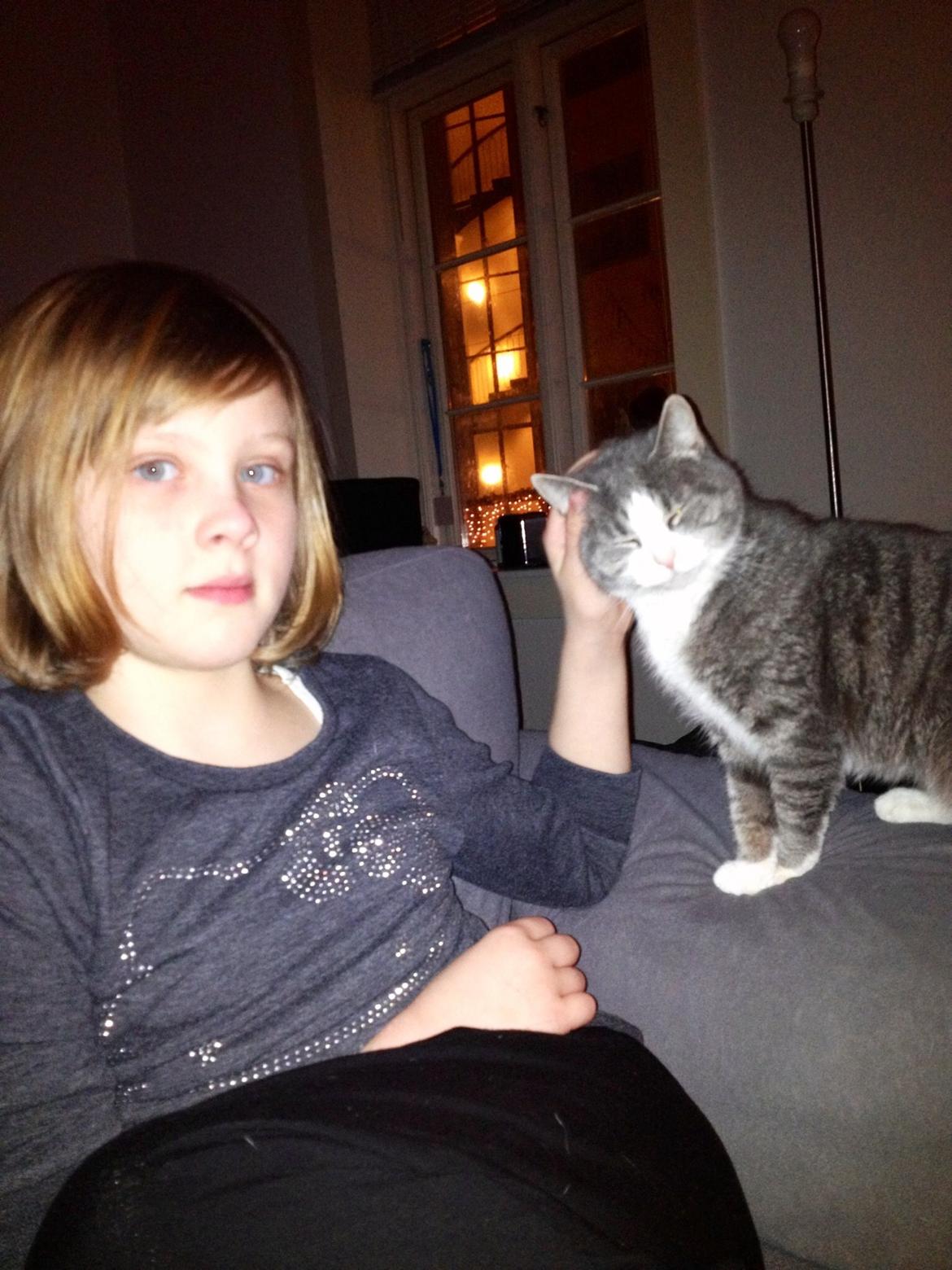 Huskat Missy billede 4