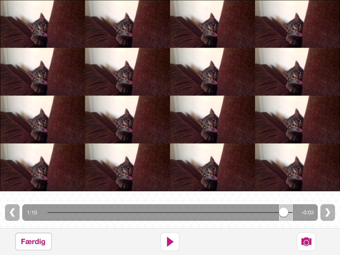 Huskat Chili billede 18