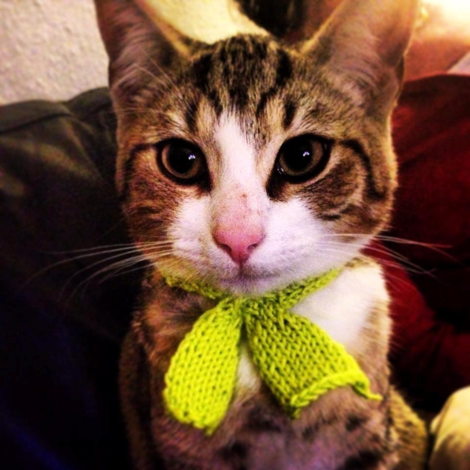 Blanding af racer Charlie billede 1