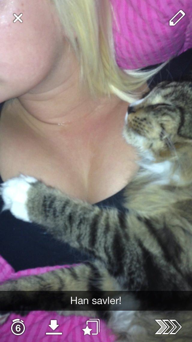 Maine Coon Vuk billede 26