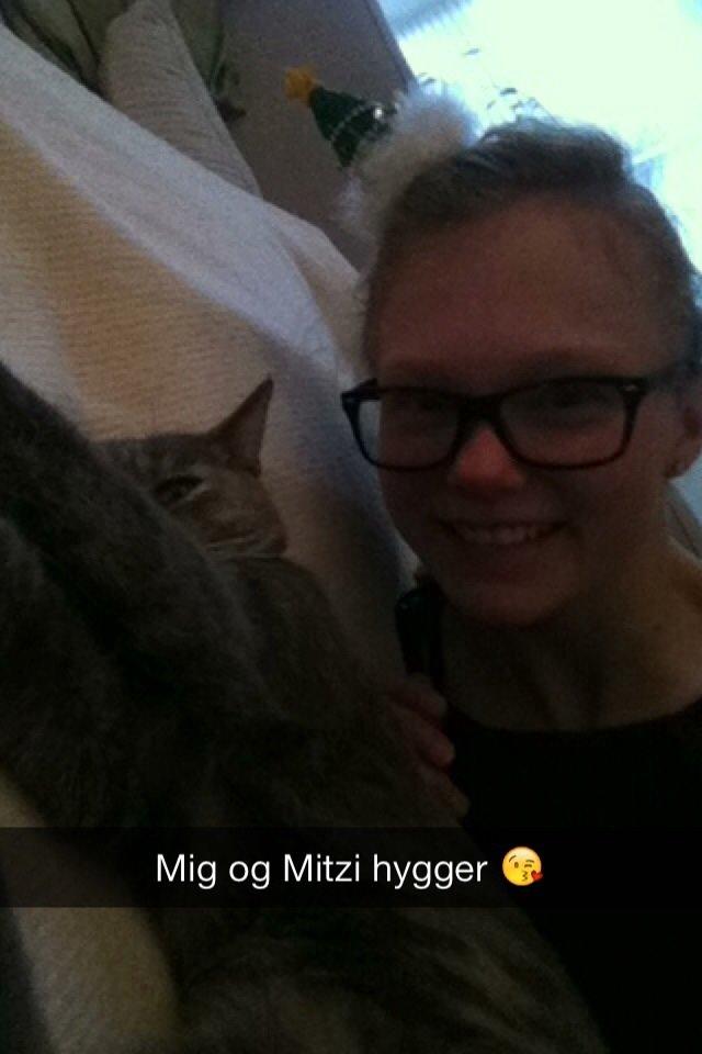 Blanding af racer Mitzi billede 28