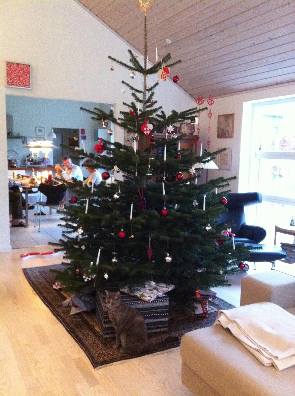 Blanding af racer Mitzi billede 24