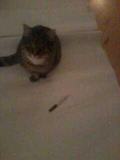 Blanding af racer sløjfe billede 4