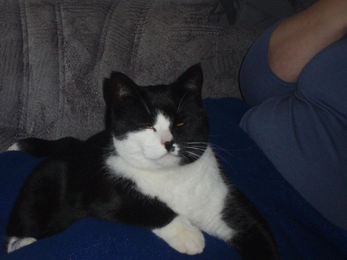 Huskat Tøsen - Afslapning ved mormor i julen ;)  billede 21