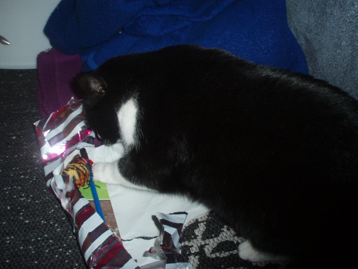 Huskat Tøsen - Tøsen pakker sin julegave op  billede 22