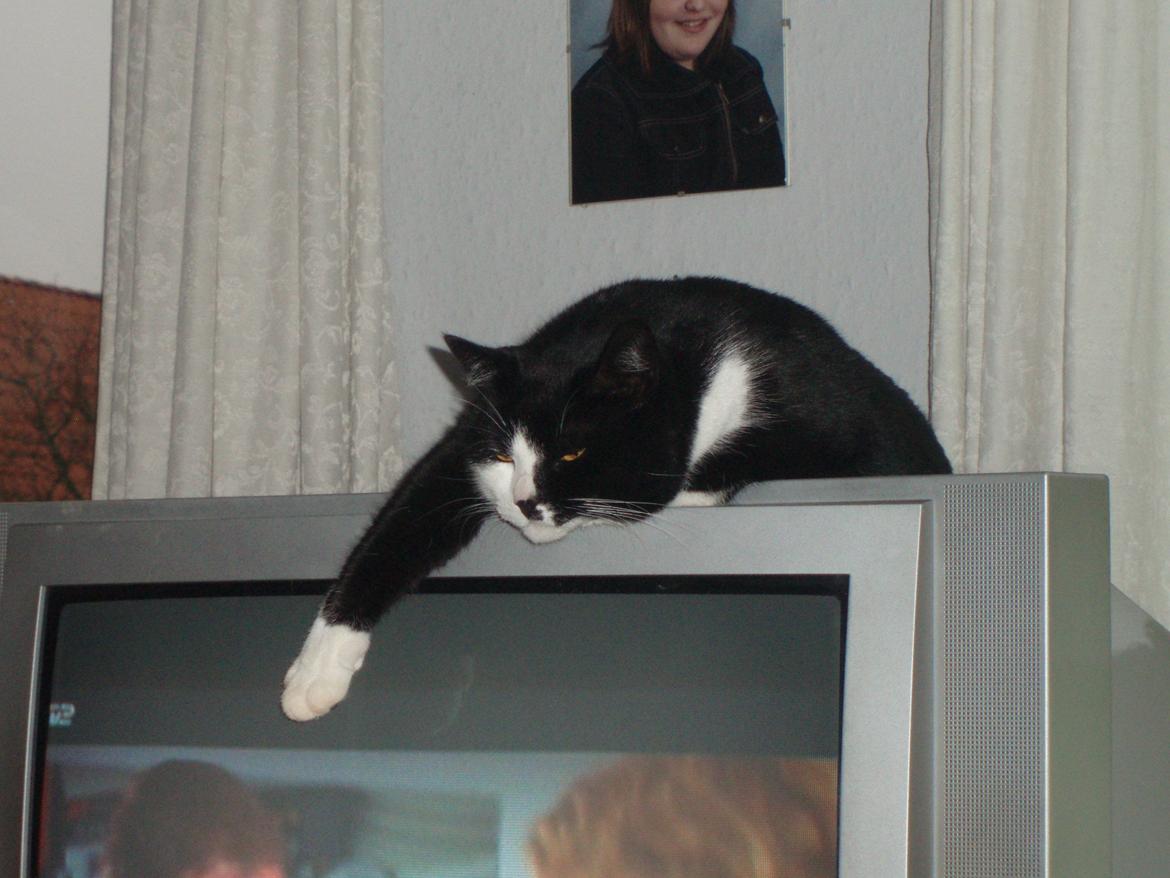 Huskat Tøsen - Puha, for en hård jul ! ;) billede 25