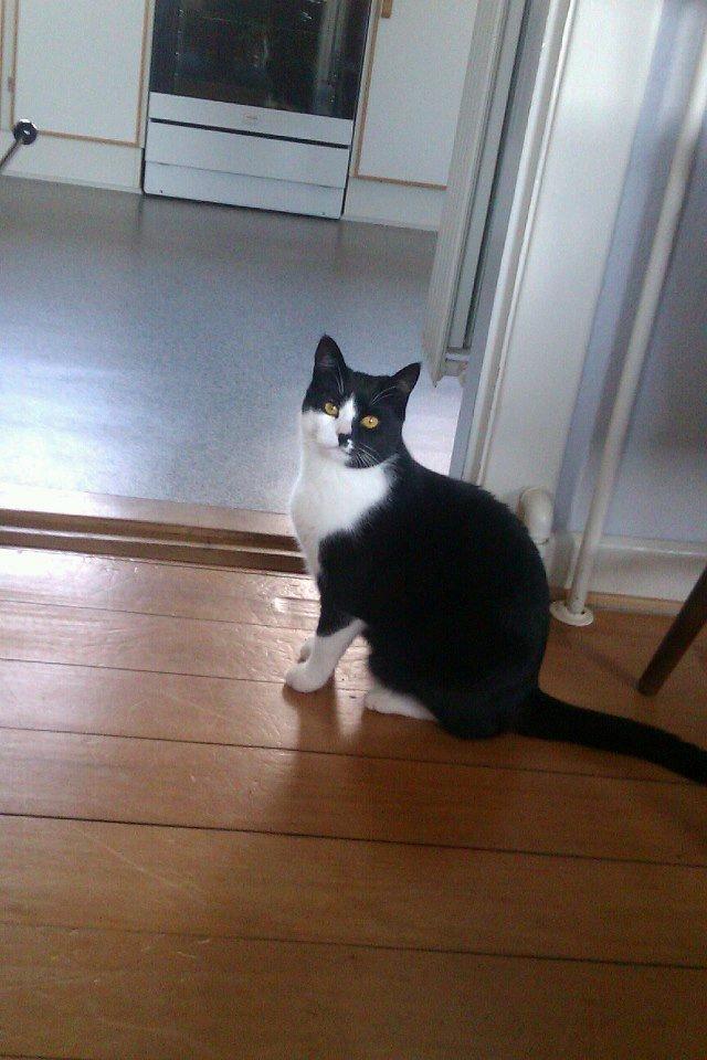 Huskat Tøsen - Farvel igen fra den store Tøs' :)  billede 26