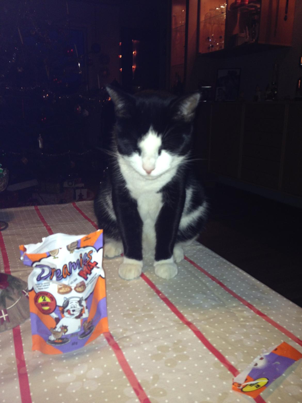 Huskat Mille billede 15