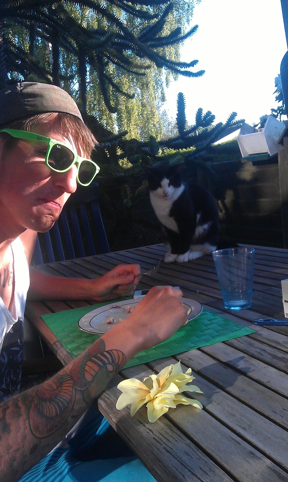 Huskat Mille billede 24