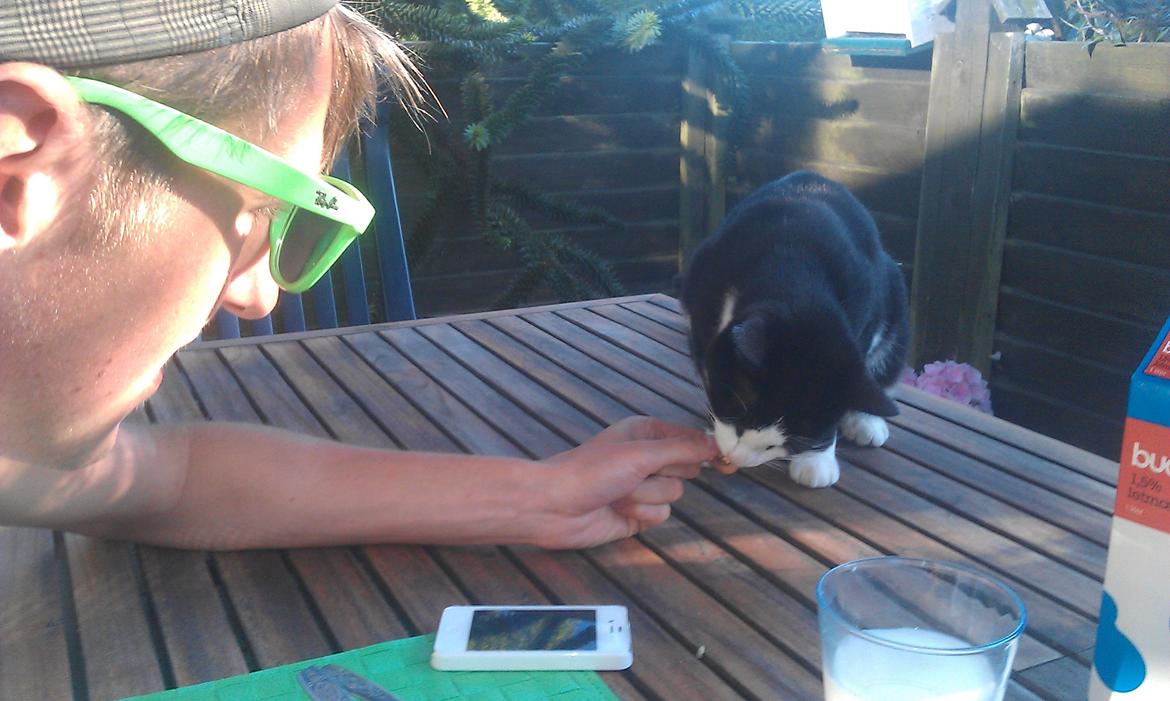 Huskat Mille billede 25