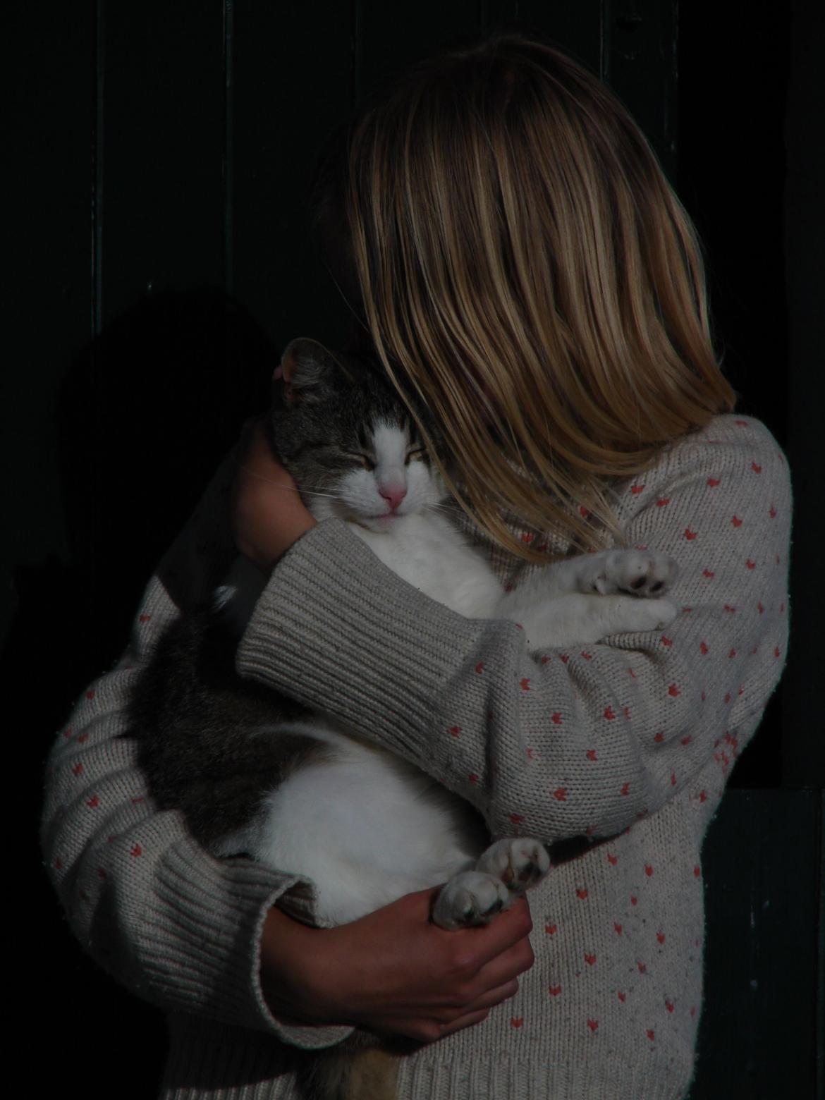 Huskat Frodo billede 13