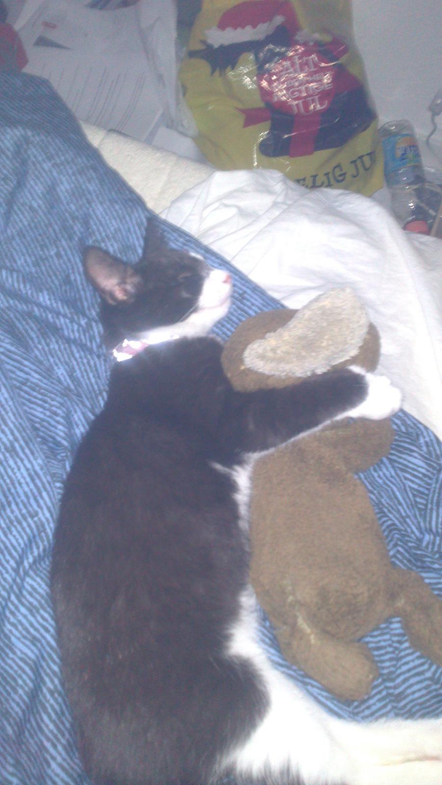 Huskat Putte billede 4