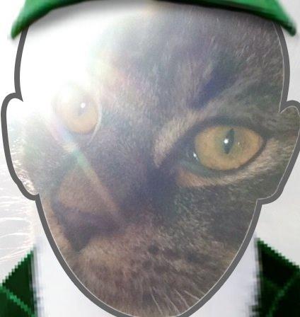 Blanding af racer Styrbjørn billede 8