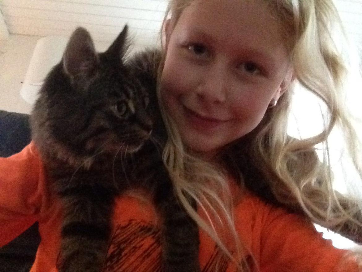 Blanding af racer Styrbjørn billede 9