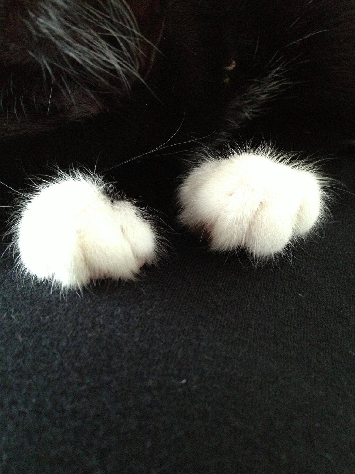 Huskat Pixi billede 13