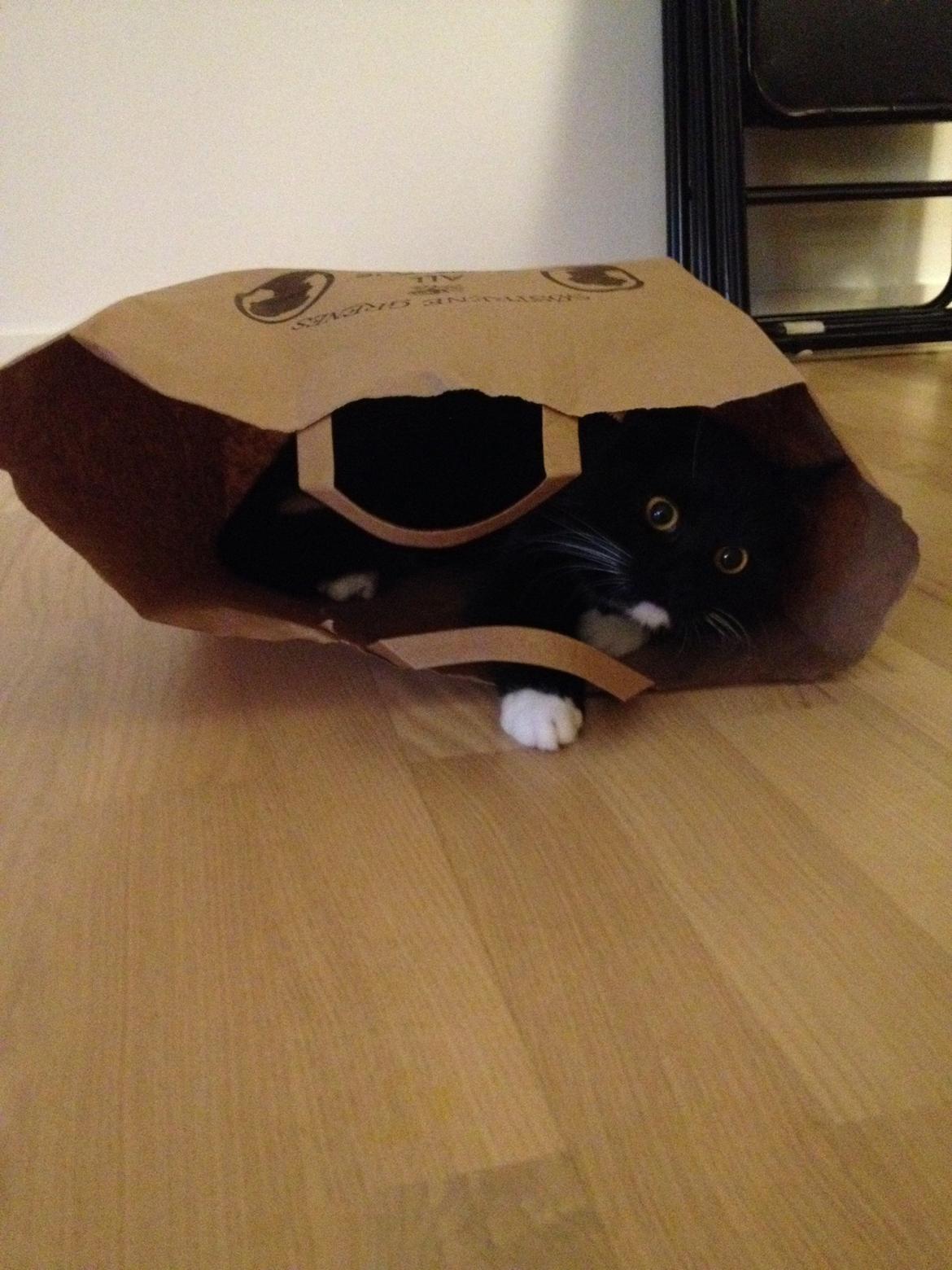 Huskat Pixi billede 18