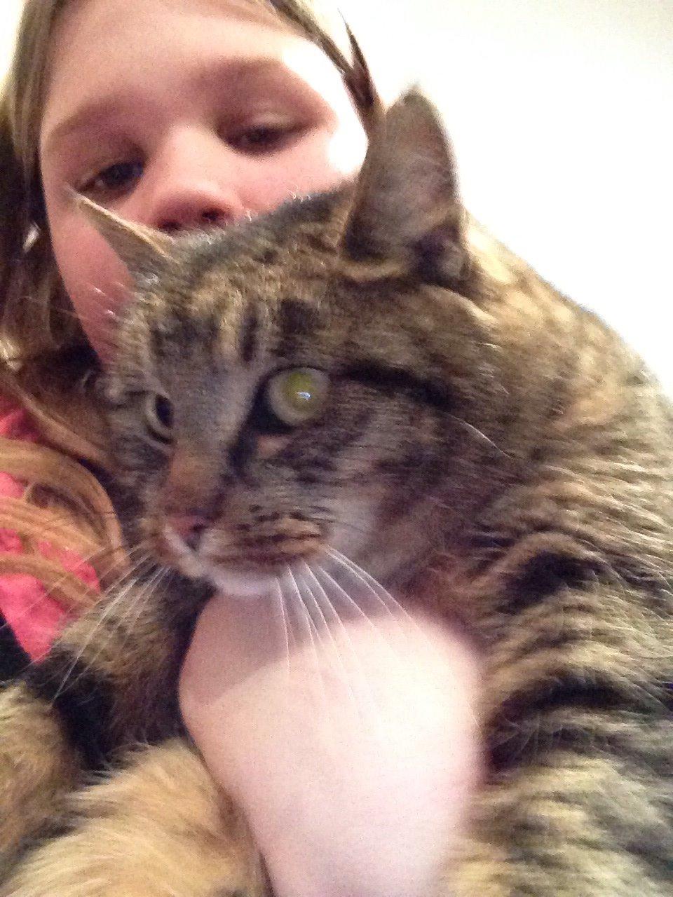 Huskat Filline billede 4