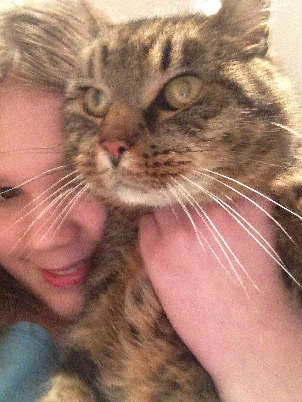 Huskat Filline billede 3