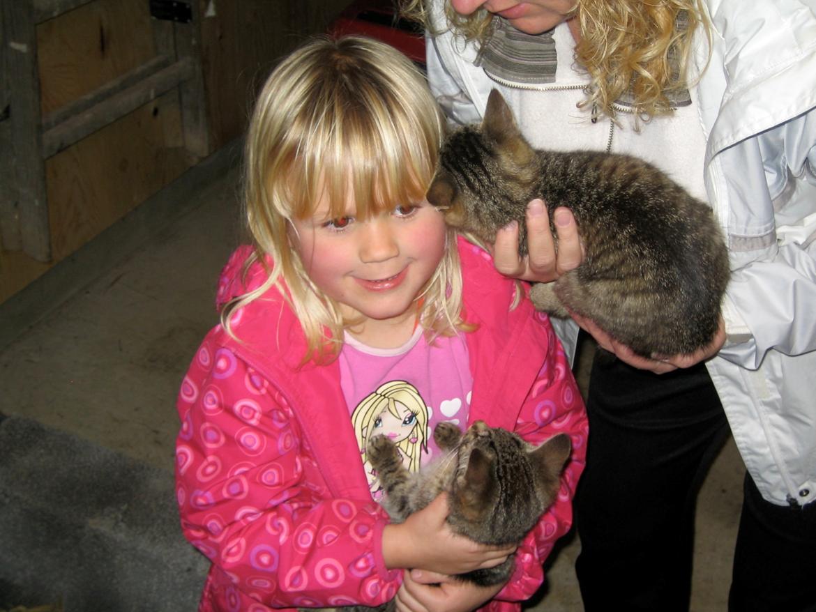 Huskat Filline billede 10