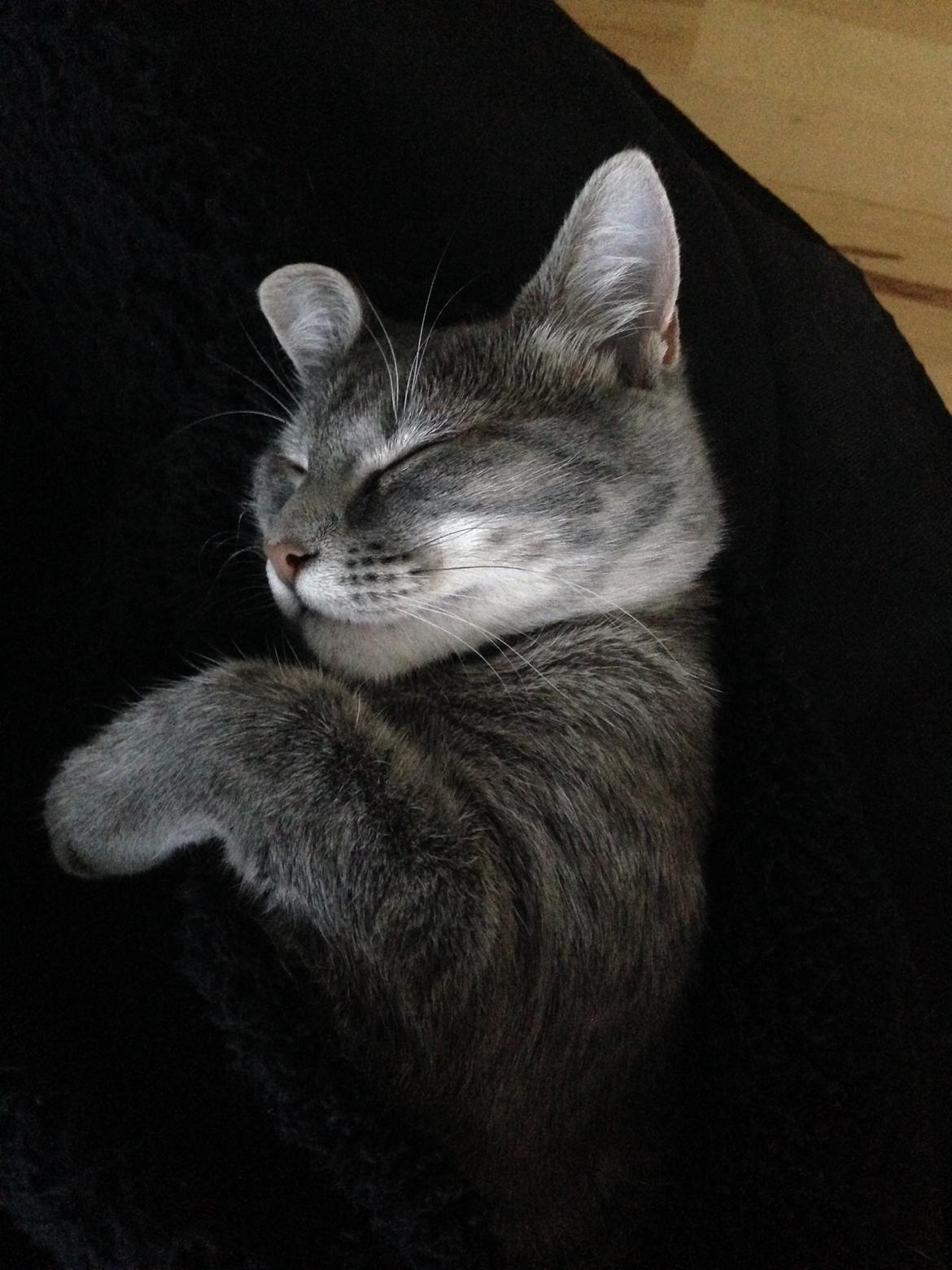 Huskat Putte - Sleeping beauti billede 25