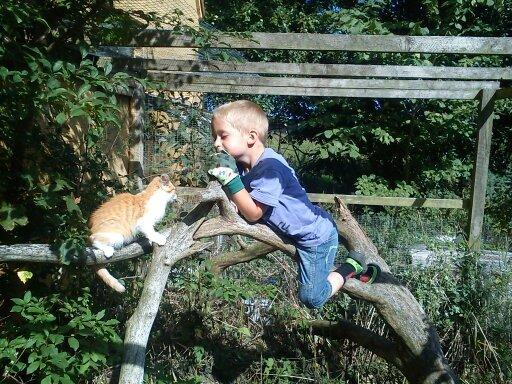 Blanding af racer Kitty - Min lillebror og Min kat der kigger på hinanden billede 8
