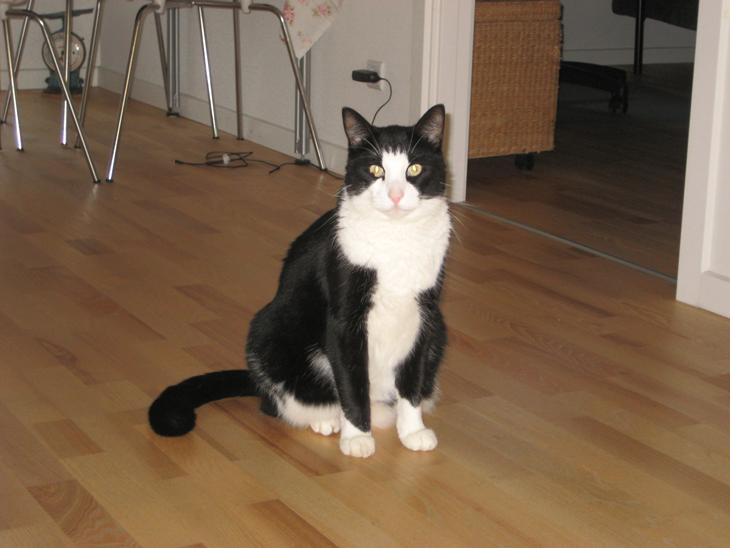 {{currentPhoto.altText}} billede {{currentPhoto.number}}