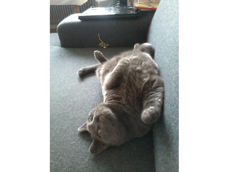 {{currentPhoto.altText}} billede {{currentPhoto.number}}