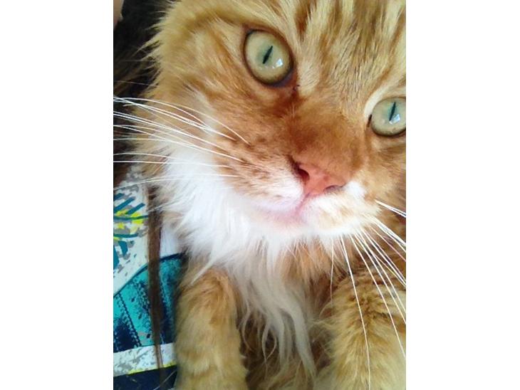 {{currentPhoto.altText}} billede {{currentPhoto.number}}