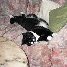 Blanding af racer Ballu