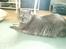 Huskat Mulle - Hendes gamle dage
