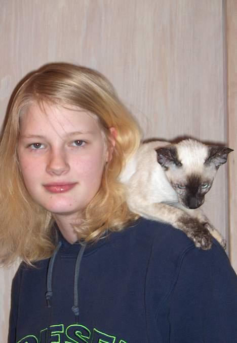 Siameser Kulle  - Ida ejer af Kulle billede 17