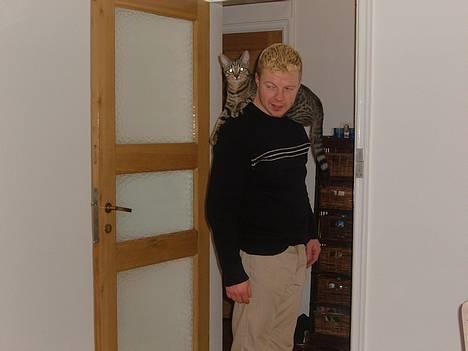 Blanding af racer Tøfting(ike min mere) - Er vi ikk charmerende mig og farmand? billede 5