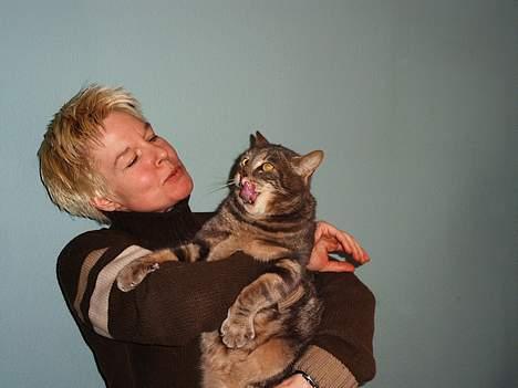 Blanding af racer Foucault billede 7