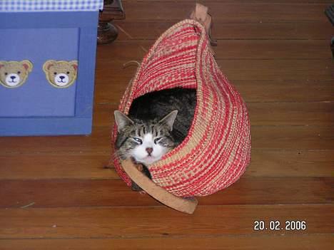 Huskat Venda - hejsa her ligger jeg så i min helt egen taske...eller er det min billede 9