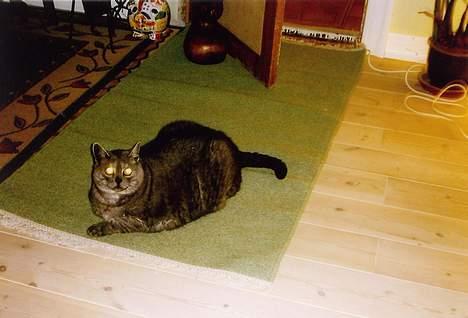 Huskat Mulle - Hendes gamle dage billede 8