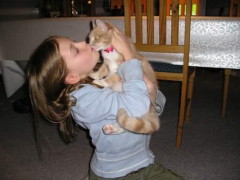 Blanding af racer Giffe (AFLIVET) - et lille kys til Lykke, hende der styrer profilen <´3 billede 8