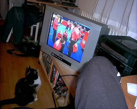 Huskat Sacha billede 6