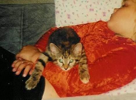 Huskat Speedy [DØD D. 4/7-07] <3 - Lille mig lige stået op sammen med Camilla . billede 10